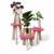 Trio Pink - Set de mesas para plantas fucsia de madera - Edición limitada - comprar online