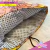 Funda para libro formato GRANDE / SAILOR MOON en internet