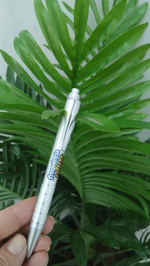 20 Caneta personalizada
