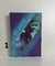 Caderno Brochura 1/4 Capa Dura 80 folhas Player Jandaia - comprar online