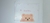 Pasta Zip Bag Multiuso A4 Animal 1un na internet