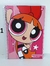 Caderno Espiral Univ Capa Dura 10 matérias 160 folhas Meninas Super Poderosas Animativa - comprar online