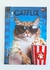 Caderno Brochura Univ Capa Dura Pets Love 80 folhas Jandaia - loja online