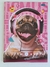 Caderno Brochura Univ Capa Dura Pets Love 80 folhas Jandaia - Papelaria Mô Quiridu