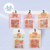 Adesivo Decorativo Kit Capivara 25pcs - comprar online