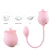 VIBRADOR DE PONTO G E CLITÓRIS - FORMATO DE ROSA - BLOSSOMS - ROSA - S-HANDE - www.aprimoresexshop.com.br