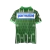 Camisa Palmeiras I 1996 Retrô Torcedor Masculina - Verde na internet