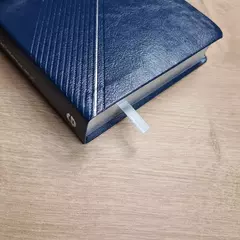 Bíblia Sagrada | NVI | Letra Grande | Capa Luxo Azul na internet