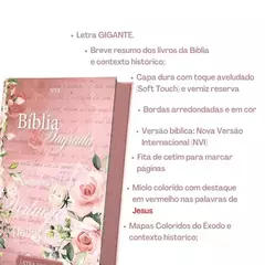 Bíblia Sagrada Mulher Virtuosa | NVI | Letra Gigante | Capa Dura na internet