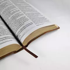 Bíblia Sagrada | NVI | Letra Grande | Capa Luxo Marrom - loja online