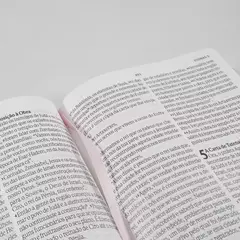 Bíblia Sagrada Flores Rosa | NVI | Letra Gigante | Capa Dura - loja online