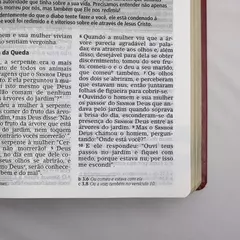 Bíblia De Estudo Joyce Meyer | NVI | Letra Grande | Capa Luxo Vermelha - loja online
