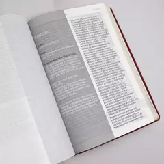Imagem do Bíblia De Estudo Joyce Meyer | NVI | Letra Grande | Capa Luxo Vermelha