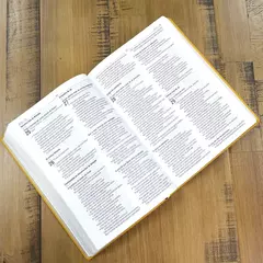 Bíblia Sagrada | NAA | Letra Normal | Capa Couro Legítimo Açafrão
