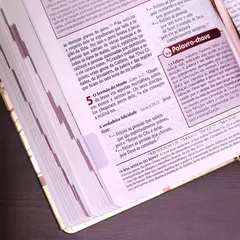 Imagem do Bíblia de Estudo Plenitude Para Jovens | Letra Normal | NTLH | Capa Dura Marrom Fosco