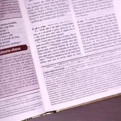 Bíblia de Estudo Plenitude Para Jovens | Letra Normal | NTLH | Capa Dura Marrom Fosco