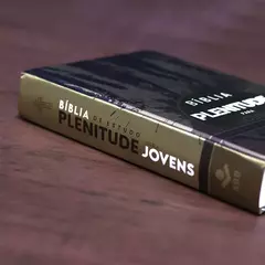 Bíblia de Estudo Plenitude Para Jovens | Letra Normal | NTLH | Capa Dura Marrom Fosco na internet