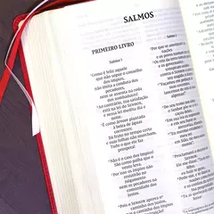 Imagem do Bíblia Sagrada | NVI | Leitura Perfeita | Capa Couro Soft Rosado