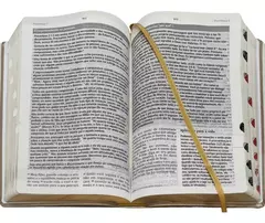 Bíblia De Estudo Joyce Meyer | NVI | Letra Grande | Capa Luxo Rosa - comprar online