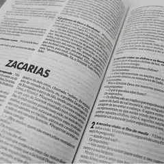 Bíblia Sagrada Leão de Judá | NTLH | Letra Normal | Capa Dura Ilustrada na internet