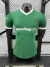 CAMISA DO PALMEIRAS I 25/26 VERDE - VERSÃO JOGADOR