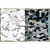 CADERNO BROCH CD UN HIDE 80F - TILIBRA - Maru Papelaria - Arapongas