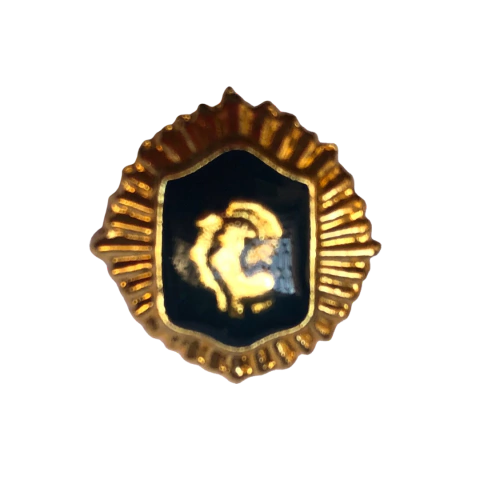 Pin Policía Federal - comprar online