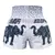 Short Muay Thai White War Elephant TUF-MS636-WHT - Fighters Argentina