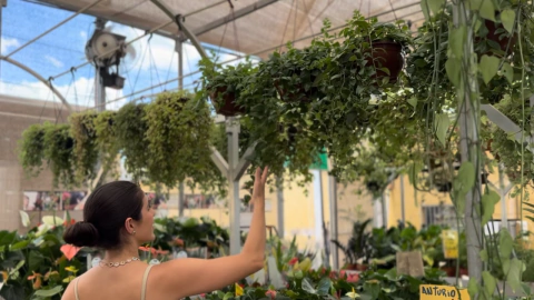 Vídeo de Botucatu Garden
