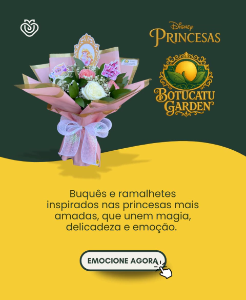 Carrossel 1