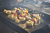 Juegos de Pinchos de Acero Inoxidable La Planchetta - La Planchetta