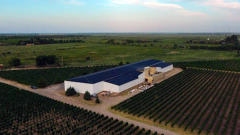 Atardecer, Vinos y Tapeo - Atuel Travel