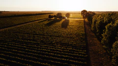 Experiencia Bodega Familia Morgan - tienda online