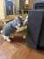 2x1 Esquineros rascadores para gatos FelineSafe® - El aliado de tus muebles y las garras de tu gato