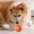 Pelota interactiva para mascotas SmartBall® - Diversión inteligente para tu mascota - comprar online