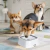 RegulaDog™ - Tu piso siempre limpio y tu mascota Feliz! en internet