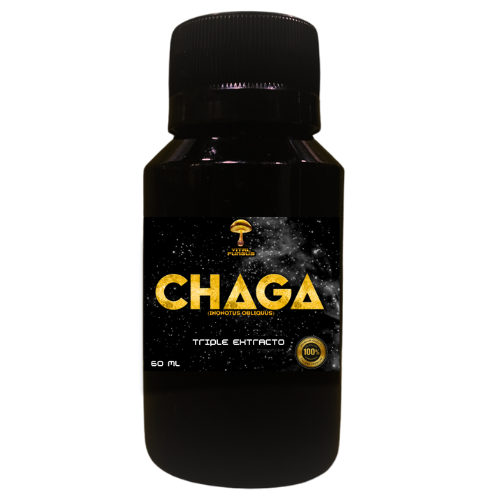 Chaga
