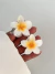 ACC-3005/ PAR BROCHES HAWAI AMARILLO - comprar online
