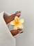ACC-3096/ BROCHE HAWAI 4CM AMARILLO