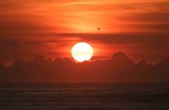 Reserva Surftrip - Ha-long