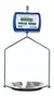 BALANZA 30KG SYSTEL FLAIER PLUS - comprar online