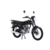 MOTO 150 MONDIAL RD 150 (NG) - comprar online