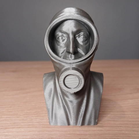 Miniatura Chica "Néstornauta"