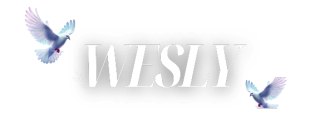Weslytiendashop