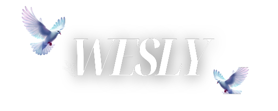 Weslytiendashop
