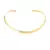 Choker Aro Liso - Protea