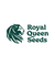 Royal Queen - Automatica x3 - Mimosa - comprar online
