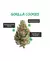Mr Smile - Automatica x3 - GORILLA COOKIES