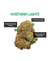Mr Smile - Automatica x3 - NORTHERN LIGHTS