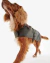 Barbour Wax Dog Coat Olive - comprar online